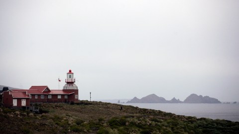 Isla Hornos, Chile.