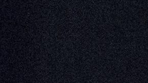 Donald Trump en Carolina del Sur