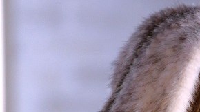 La cantante Belinda se defiende de las acusaciones en su contra en eventos para el Papa Francisco.