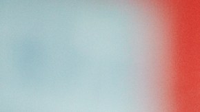 Hay que ser también atractiva y carismática para el éxito.