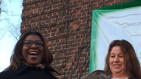 La marmota Chuck de Staten Island predijo que llegará la primavera pronto.