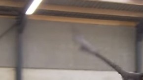 drones aguilas holanda