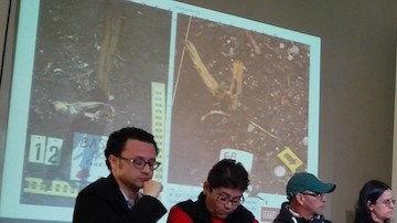 Los expertos agregaron que además hubo restos indeterminados y de animales no humanos.