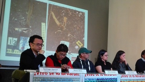 Los expertos agregaron que además hubo restos indeterminados y de animales no humanos.