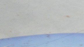 Anderson Silva regresa al octágono tras su suspensión por dopaje.