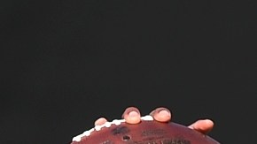 'Superman' Newton, además, fue elegido el Ofensivo del Año.