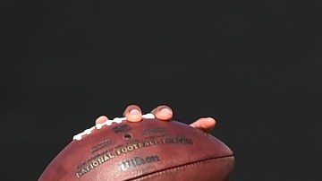 'Superman' Newton, además, fue elegido el Ofensivo del Año.