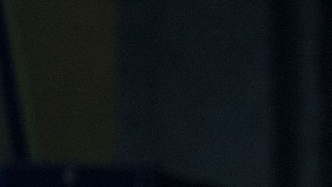 El papa Francisco en la misa en la Basílica de la Virgen de Guadalupe.