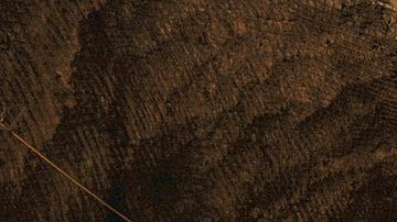 Photo shows one of the tunnels earmarked