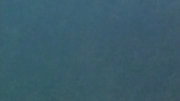 Los espectadores en la Bahía de Toyama tuvieron el privilegio de ser testigos de este singular avistamiento.