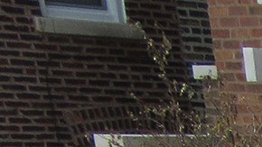 Docenas de personas han visitado el lugar donde la familia mexicana fue asesinada para dejar recuerdos y mensajes de condolencias.