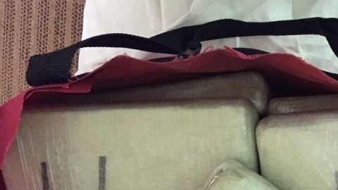 La heroína fue encontrada en la jaula de un canino que llegó al aeropuerto JFK.