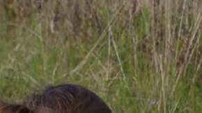 Así aparece Jorge Aravena en una de las escenas de "Un camino hacia el destino".