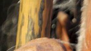 neandertal
