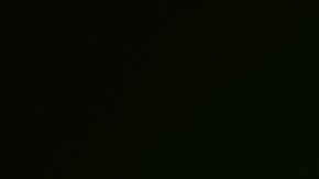 La intervención efectiva de los padres es importante en la modificación del comportamiento que no permite el buen desarrollo del menor tímido.