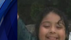 La pequeña Shayla Pichardo iba rumbo a la escuela.