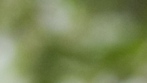 A nivel nacional, las parejas gastarán un promedio de $ 12,189 en la fiesta de su boda, excluyendo el costo de arrendamiento del lugar y la compra del vestido y los anillos.