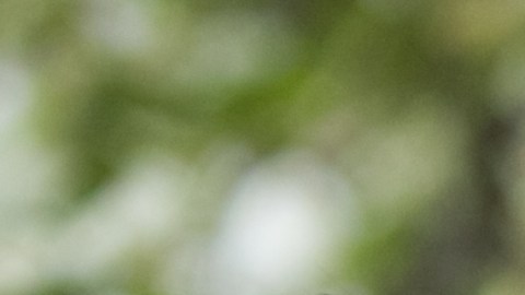 A nivel nacional, las parejas gastarán un promedio de $ 12,189 en la fiesta de su boda, excluyendo el costo de arrendamiento del lugar y la compra del vestido y los anillos.