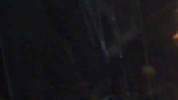 Randy Rodríguez, de 26 años dice que se ve más como un hombre de pupusas que como un hombre de negocios./Gerardo Romo