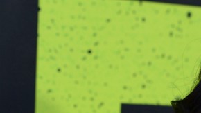 La actriz será, junto a Jaime Camil, la única latina en prestar su voz a la versión original de la película "The Secret Life of Pets", cuyo estreno se prevé para el próximo verano.