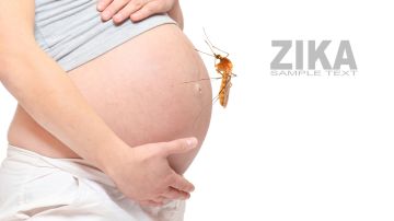 embarazo zika