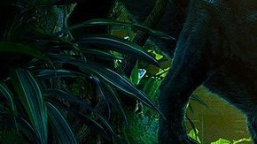 Imagen del póster de "The Jungle Book", producción de Disney que mostró un avance durante el Super Tazón.