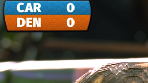 Estas pequeñas tortugas dieron como ganador a Carolina.