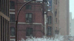 Un videomuestra cuando la grúa cae encima de los vehículos.