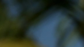 La mayoría de los venezolanos que pide asilo describe una situación de inseguridad e inestabilidad política en su país.