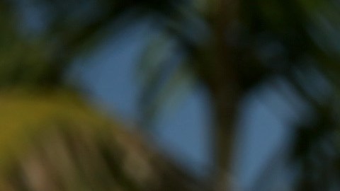 La mayoría de los venezolanos que pide asilo describe una situación de inseguridad e inestabilidad política en su país.