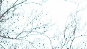 Vecindario en East New York, Brooklyn donde sea puede observar la nueva ola de nuevas construcciones y las viviendas aquisibles.
Photo Credito Mariela Lombard/El Diario NY.