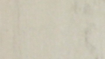 Miembros del Concejo Matthew Eugene, Laurie Cumbo y otros dieron su apoyo a los padres y alumnos para que los districtos mas pobres de la ciudad para que no se corten los fondos para los programas de verano.
Photo Credito Mariela Lombard/El Diario NY.