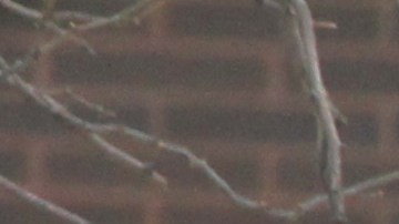 Alumnos de secundaria.
Miembros del Concejo Matthew Eugene, Laurie Combo y otros dieron su apoyo a los padres y alumnos para que los districtos mas pobres de la ciudad para que no se corten los fondos para los programas de verano.
Photo Credito Mariela Lombard/El Diario NY.