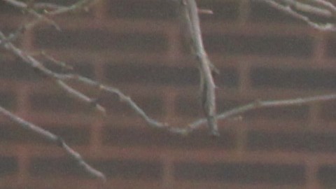 Alumnos de secundaria.
Miembros del Concejo Matthew Eugene, Laurie Combo y otros dieron su apoyo a los padres y alumnos para que los districtos mas pobres de la ciudad para que no se corten los fondos para los programas de verano.
Photo Credito Mariela Lombard/El Diario NY.
