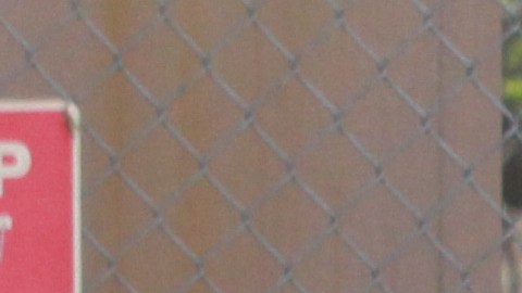 Los jóvenes reciben una experiencia laboral remunerada   en el sector público o en el privado.  /Archivo