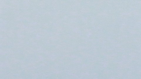 Plan de Vision Cero en las intersecciones de las Avenidas Myrtle y Palmeto, una de las congestionadas de Brooklyn.
Photo Credito Mariela Lombard/El Diario NY.