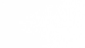 03/04/16 /SOUTH GATE/Discount Auto Plaza, negocio de autos usados en 4366 Firestone Blvd, South Gate (Photo Aurelia Ventura/La Opinion)