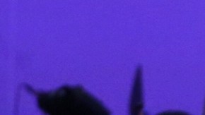 No cabe duda que Thalía es una gran mujer tanto en lo profesional como en lo familiar.