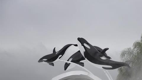 seaworld