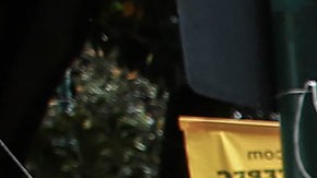 Bomberos  trabajan para retirar un árbol caído en una calle de la Ciudad de México.