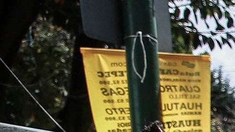 Bomberos  trabajan para retirar un árbol caído en una calle de la Ciudad de México.