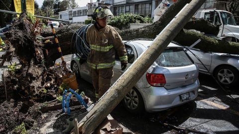 Bomberos trabajan para retirar un árbol caído en una calle de la Ciudad de México.