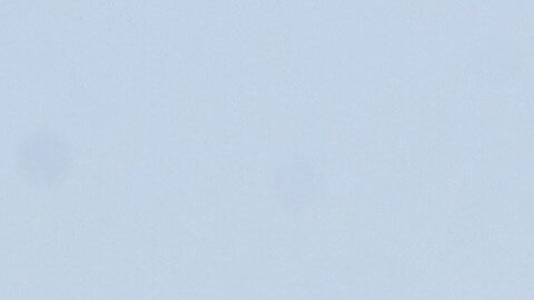 Periodistas realizan una protesta como parte de una jornada nacional contra los ataques a comunicadores en México.