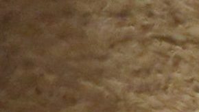 El ministro egipcio de antigüedades, Mamdouh al-Damati, ha ofrecido una rueda de prensa para presentar los resultados del escáner realizado en la tumba de Tutankamón