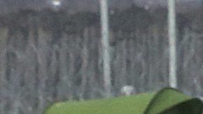 Un grupo de niños juega en el campamento provisional de Idomeni, en la frontera entre Grecia y Macedonia.