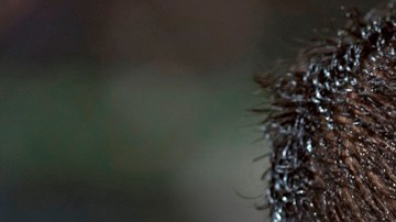 Ángel Reyna, un buen jugador opacado por sus propios conflictos.