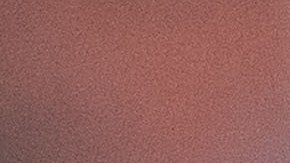 Demsey quedó sangrando de la cabeza.