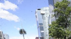Al menos 450 árboles caídos por fuertes vientos en la Ciudad de  México.