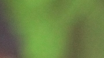 La activista mexicana Nestora Salgado  salió hoy de la prisión de Tepepan tras ser absuelta de los delitos de homicidio y secuestro que se le imputaron en 2013.  EFE/Sáshenka Gutiérrez