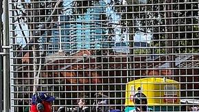 Accidente de Fernando Alonso